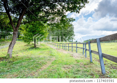 Trees and open fields under a cloudy spring sky Trees and open fields under a cloudy spring sky 117403591