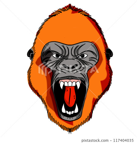 The Kong or gorilla animal concept png image. 117404035