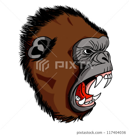 The Kong or gorilla animal concept png image. The Kong or gorilla animal concept png image. 117404036