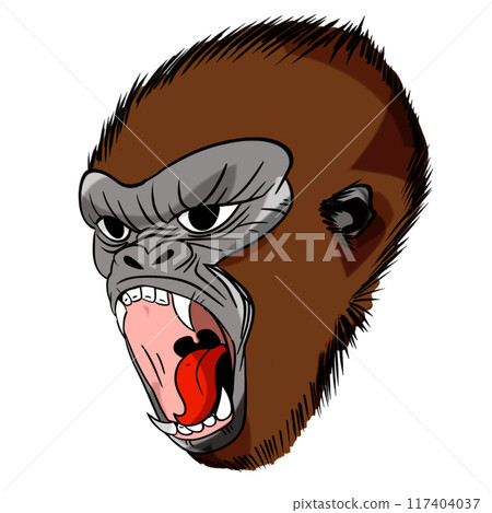 The Kong or gorilla animal concept png image. 117404037