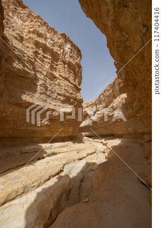 Canyon in Oasis of Tamaghza located in the hillcountry in Tunisia Canyon in Oasis of Tamaghza located in the hillcountry in Tunisia 117404416