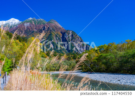 [Autumn material] Autumn pampas grass along the Azusa River in Kamikochi [Nagano Prefecture] 117404550