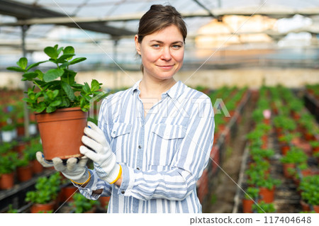 Portrait of female worker in greenhouse where flowers are grown Portrait of female worker in greenhouse where flowers are grown 117404648