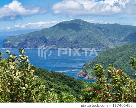 Shimane, Oki Island (Nishinoshima Town) Shimane, Oki Island (Nishinoshima Town) 117405493