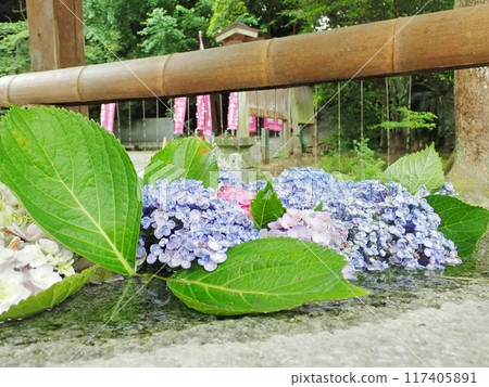 The Chozuya at Sakurai Shrine in Itoshima City, Fukuoka Prefecture. 117405891