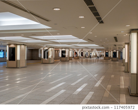 東京城市景觀：市中心的地下通道 117405972