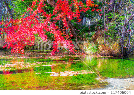 [Autumn material] Autumn Kamikochi, Tashiro Wetland and Tashiro Pond [Nagano Prefecture] 117406004