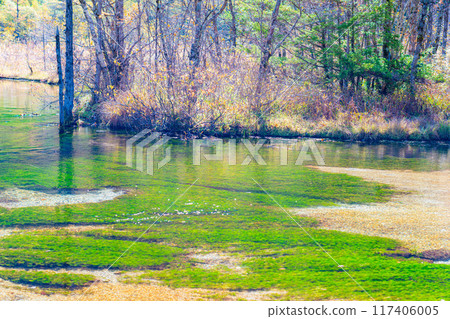 [Autumn material] Autumn Kamikochi, Tashiro Wetland and Tashiro Pond [Nagano Prefecture] 117406005