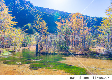 [Autumn material] Autumn Kamikochi, Tashiro Wetland and Tashiro Pond [Nagano Prefecture] 117406006