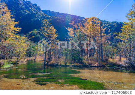 [Autumn material] Autumn Kamikochi, Tashiro Wetland and Tashiro Pond [Nagano Prefecture] 117406008