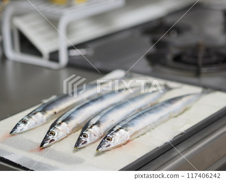 生劍魚(4 條魚)排列在切板上 生劍魚(4 條魚)排列在切板上 117406242