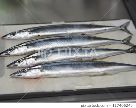 Raw saury (4 pieces) arranged on a cutting board Raw saury (4 pieces) arranged on a cutting board 117406243
