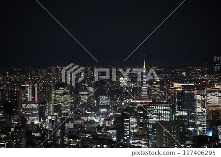 從天空樹看東京夜景 從天空樹看東京夜景 117406295