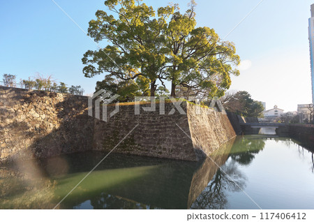 Sunpu Castle in Shizuoka Prefecture 117406412