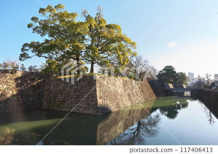 Sunpu Castle in Shizuoka Prefecture 117406413
