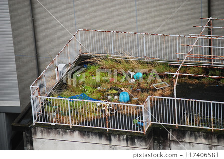 屋頂雜草叢生 屋頂雜草叢生 117406581