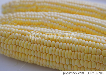 Golden corn, the sweet and delicious corn in season in summer Golden corn, the sweet and delicious corn in season in summer 117406706