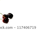 Large American Cherry 117406719