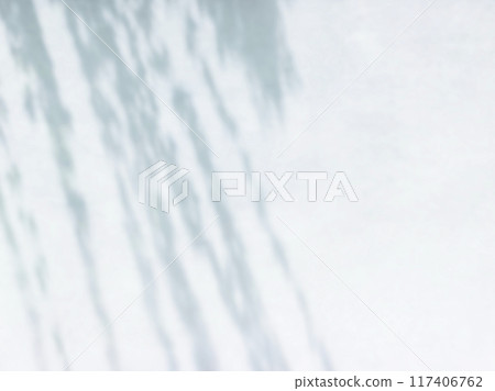 植物影光陽光 117406762