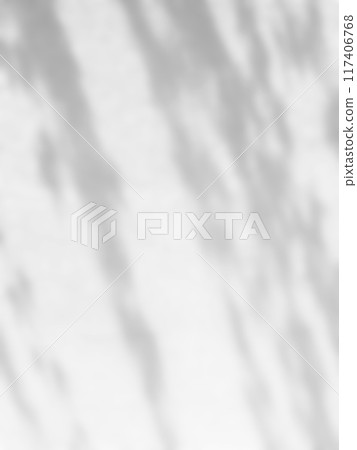 植物影光陽光 117406768