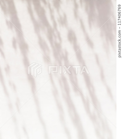 植物影光陽光 117406769