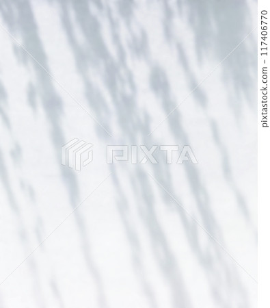 植物影光陽光 117406770