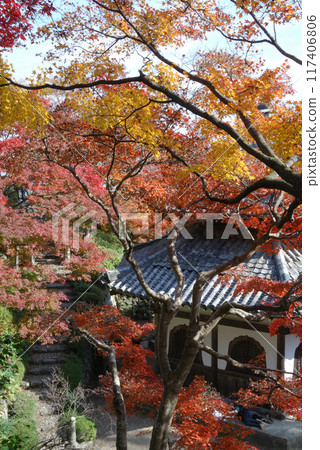 秋天的日本京都/被秋葉包裹的寺廟,初秋的古都京都的寺廟,顏色開始變幻 秋天的日本京都/被秋葉包裹的寺廟,初秋的古都京都的寺廟,顏色開始變幻 117406806