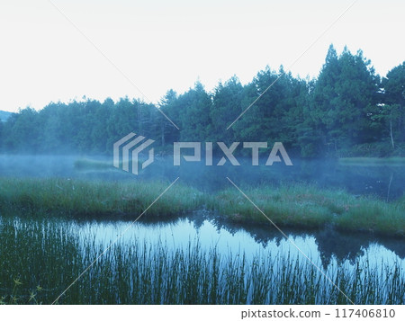 Summer morning in Shiga Kogen 117406810