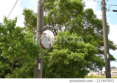 Mirror attached to utility pole Mirror attached to utility pole 117407652