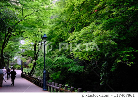 箕面公園步道 117407961
