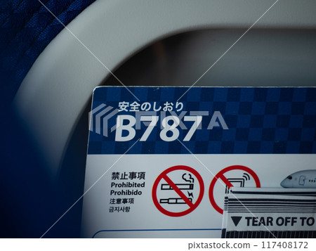 飛機安全指南 117408172