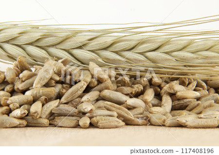 Closeup of rye grains and stalk for natural food and agriculture background Closeup of rye grains and stalk for natural food and agriculture background 117408196