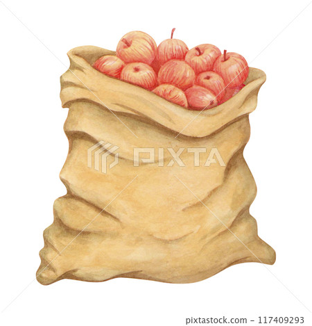 Isolated sack of apples. Watercolor freshly picked fruits in canvas bag. Harvesting concept.  Fruit in rustic burlap bag. Linen bagful with apples for designs in harvest, garden or countryside themes 117409293