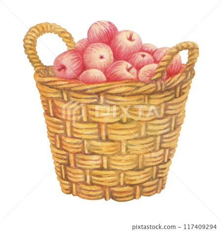 Large basket full of ripe red apples. Fresh fruit in wicker pannier with two handles. Farm organic food. Isolate Watercolor vintage illustration for rustic prints design, healthy food fair advertising Large basket full of ripe red apples. Fresh fruit in wicker pannier with two handles. Farm organic food. Isolate Watercolor vintage illustration for rustic prints design, healthy food fair advertising 117409294