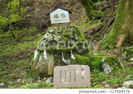 Lucky Stone (Kongosan Katsuragi Shrine) [Chihayaakasaka Village, Minamikawachi District, Osaka Prefecture] 117409576