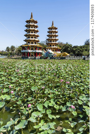 View of the lotus in bloom at the Dragon and Tiger Pagoda in Lotus Pond, Kaohsiung, Taiwan. 117409893