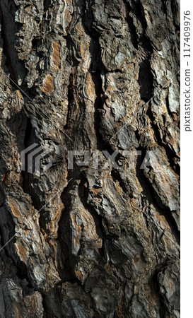 Nature background. Rugged tree bark texture close up showcasing detailed patterns of grooves and ridges in natural light. Nature background. Rugged tree bark texture close up showcasing detailed patterns of grooves and ridges in natural light. 117409976