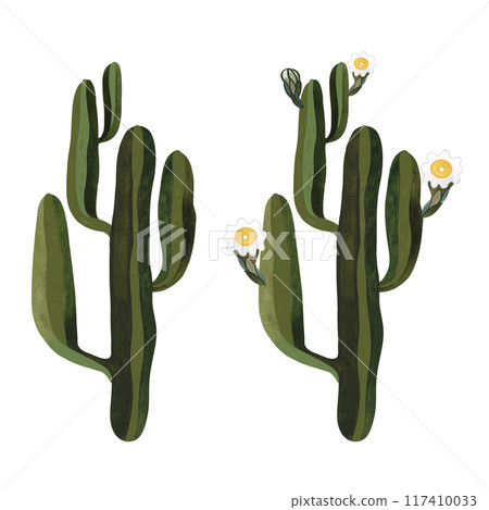 Saguaro. Blooming cactus with white and yellow flowers. Plants for the home. Floriculture. Desert flora. Isolated watercolor illustration on white background. Clipart. 117410033