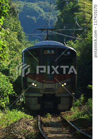 列車穿越豐富的大自然 117410270