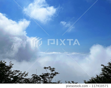山上的雲 117410571