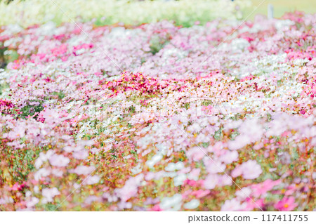 宇宙田一宮138塔公園 117411755