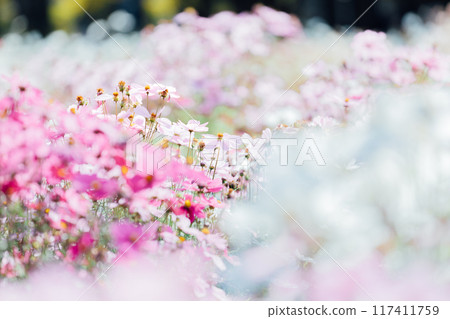 宇宙田一宮138塔公園 宇宙田一宮138塔公園 117411759