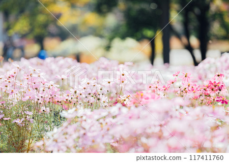 宇宙田一宮138塔公園 宇宙田一宮138塔公園 117411760