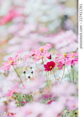 宇宙田一宮138塔公園 宇宙田一宮138塔公園 117411761