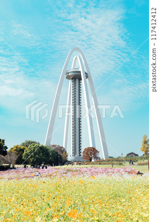 138 Tower and cosmos field 117412412