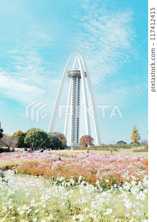 138 Tower and cosmos field 138 Tower and cosmos field 117412415