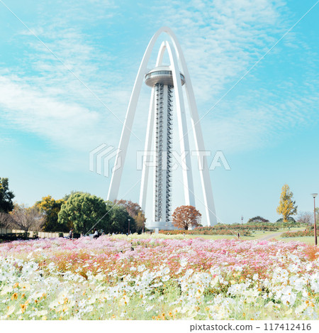 138 Tower and cosmos field 138 Tower and cosmos field 117412416