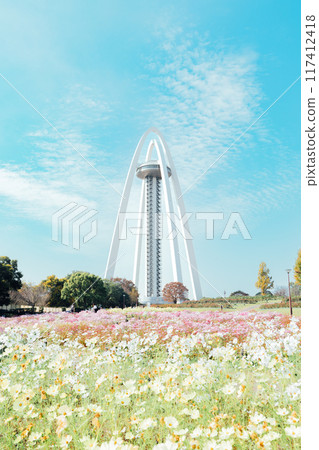 138 Tower and cosmos field 138 Tower and cosmos field 117412418