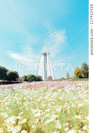 138 Tower and cosmos field 117412419