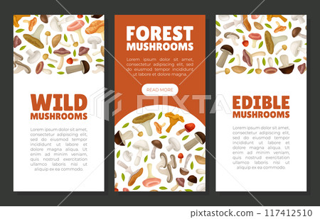 Mushroom Banner Design with Forest Plant with Stem and Cap Vector Template Mushroom Banner Design with Forest Plant with Stem and Cap Vector Template 117412510